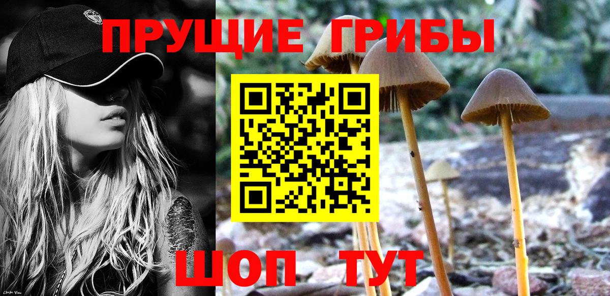 Галлюциногенные грибы прущие грибы  Вход с VPN  Хабаровск 